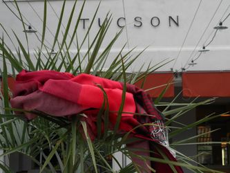 In Tucson, Arizona, fanden wir einen der schönsten Passagier-Bahnhöfe auf dem Amtrak-Netz.Sogar eine Bar mit super Espresso hat es dort. 

In den USA wird den Güterzügen mehr Aufmerksamkeit gewidmet. Oftmals zählen diese mehr als 100 Wagen und werden von bis zu drei Lokomotiven gezogen. 